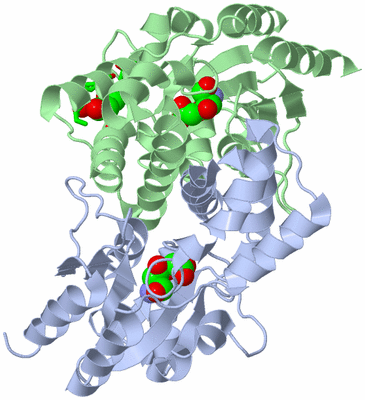 Image Asym./Biol. Unit - sites