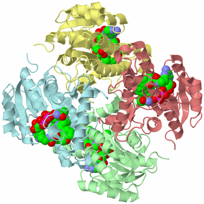 Image Asym./Biol. Unit