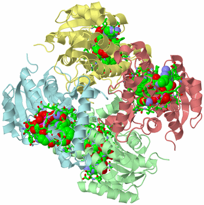 Image Asym./Biol. Unit - sites