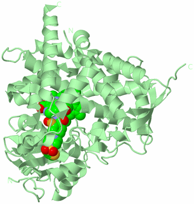 Image Biological Unit 2