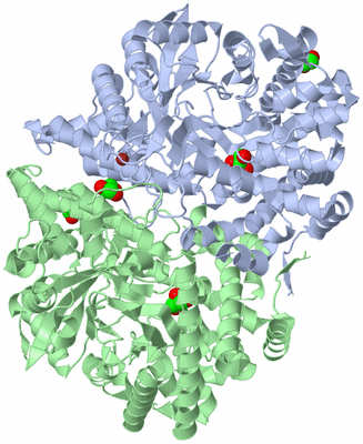 Image Asym./Biol. Unit