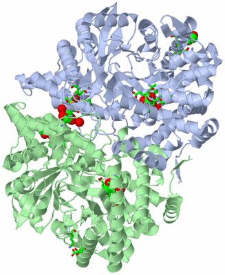 Image Asym./Biol. Unit - sites