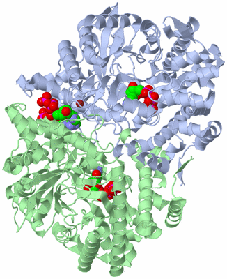 Image Asym./Biol. Unit