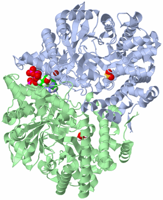 Image Asym./Biol. Unit