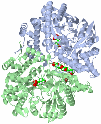 Image Asym./Biol. Unit