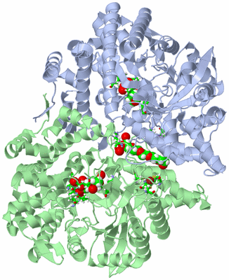 Image Asym./Biol. Unit - sites