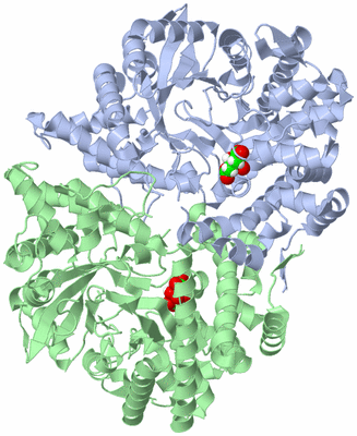 Image Asym./Biol. Unit