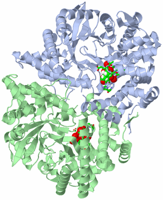 Image Asym./Biol. Unit - sites