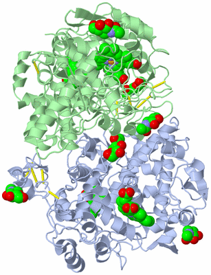 Image Biological Unit 1