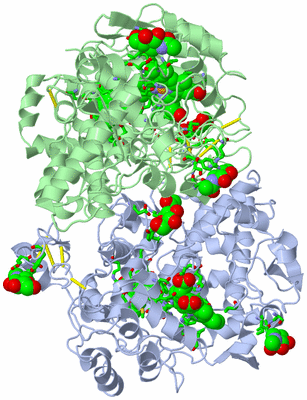 Image Biol. Unit 1 - sites