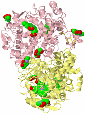 Image Biological Unit 2