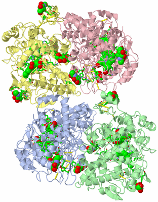 Image Asym. Unit - sites