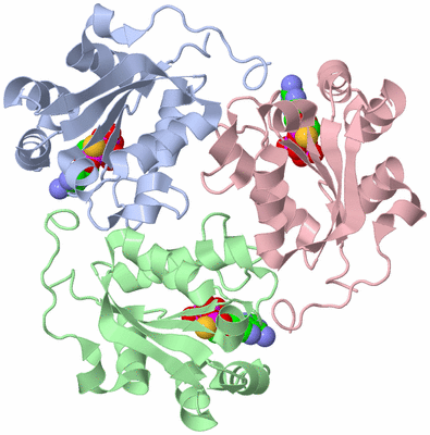 Image Biological Unit 2