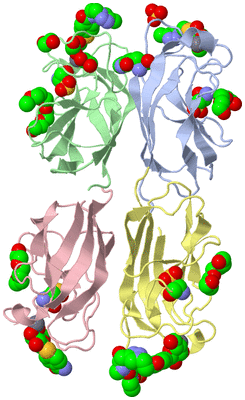 Image Biological Unit 1