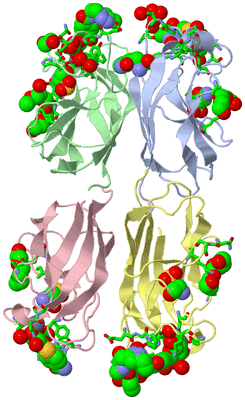 Image Biol. Unit 1 - sites