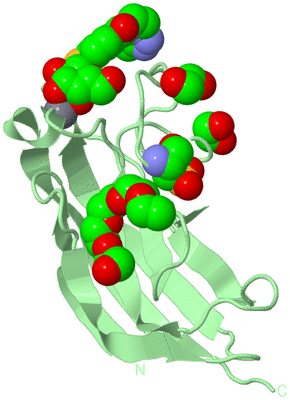 Image Biological Unit 3