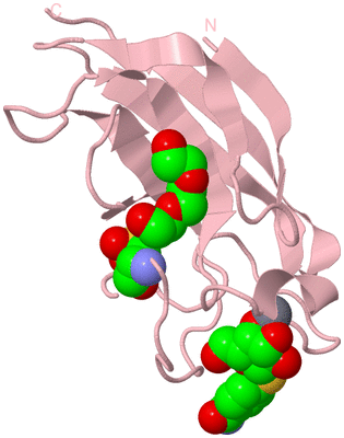 Image Biological Unit 4