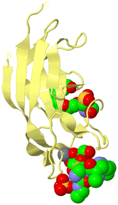 Image Biological Unit 5