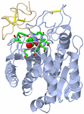 Image Biol. Unit 1 - sites