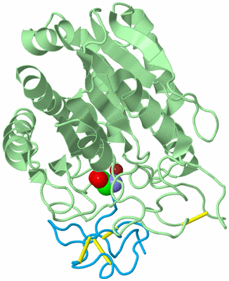 Image Biological Unit 2