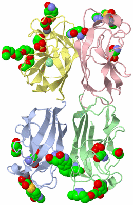 Image Biological Unit 1