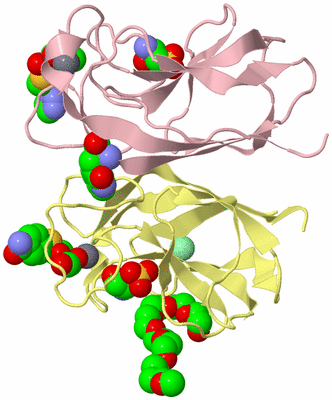 Image Biological Unit 3