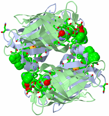 Image Biol. Unit 1 - sites