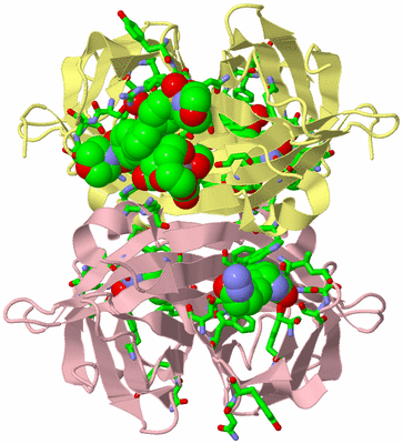 Image Biol. Unit 1 - sites