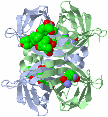 Image Biological Unit 2