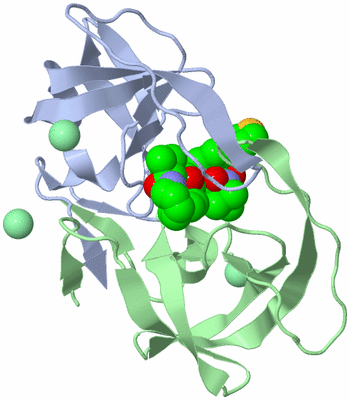 Image Asym./Biol. Unit