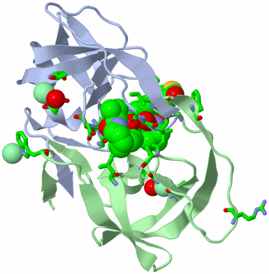 Image Asym./Biol. Unit - sites