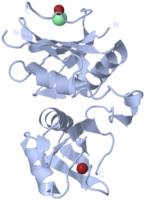 Image Biological Unit 1