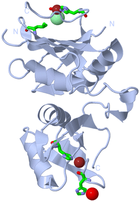 Image Biol. Unit 1 - sites