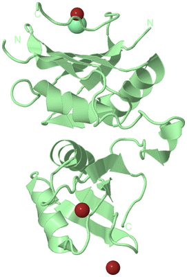 Image Biological Unit 2