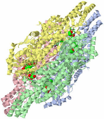 Image Asym./Biol. Unit - sites