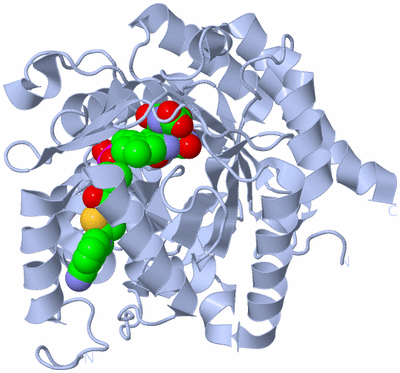 Image Biological Unit 1