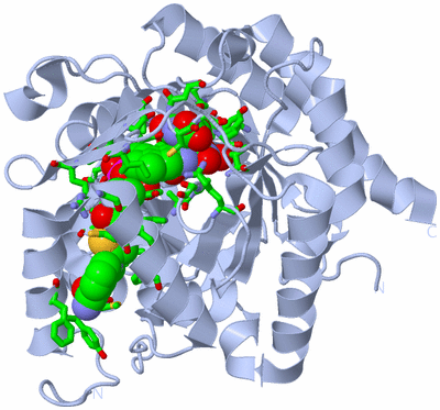 Image Biol. Unit 1 - sites