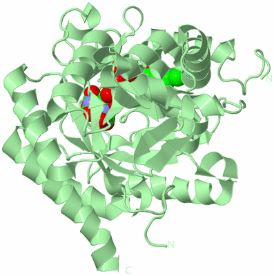 Image Biological Unit 2