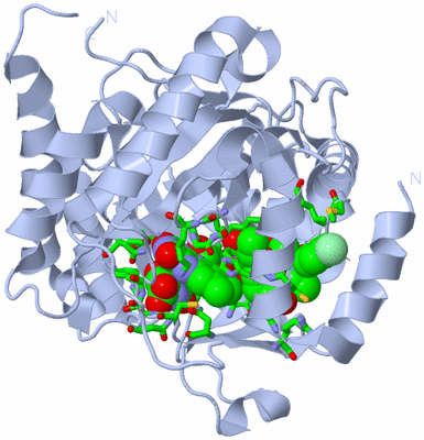 Image Biol. Unit 1 - sites