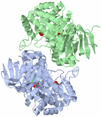 Image Asym./Biol. Unit