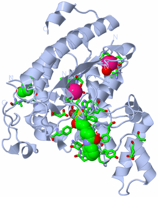 Image Biol. Unit 1 - sites