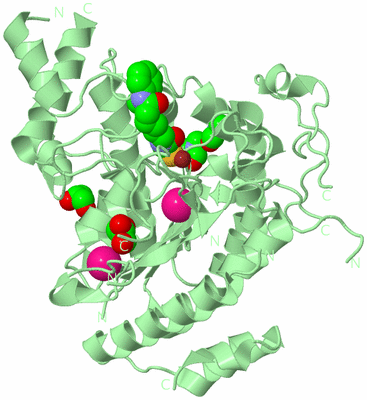 Image Biological Unit 2