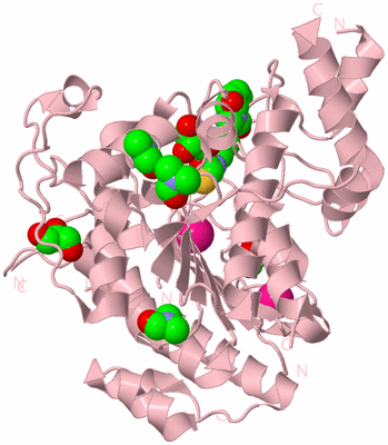 Image Biological Unit 3