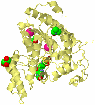 Image Biological Unit 4