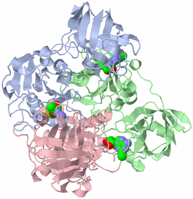 Image Asym./Biol. Unit