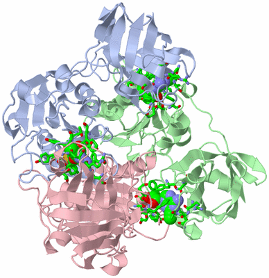 Image Asym./Biol. Unit - sites