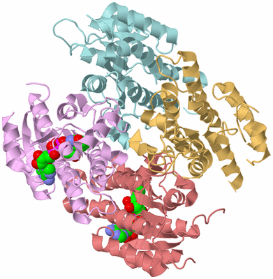 Image Biological Unit 1