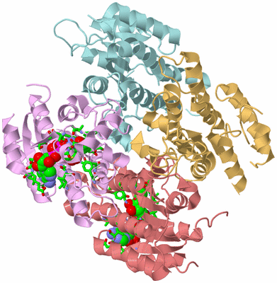 Image Biol. Unit 1 - sites