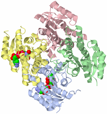 Image Biological Unit 2