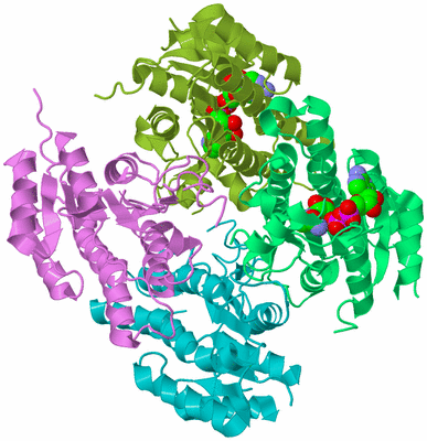 Image Biological Unit 3